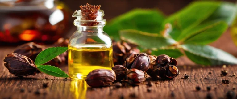 Huile de ricin pour le visage : bienfaits, usages et conseils essentiels